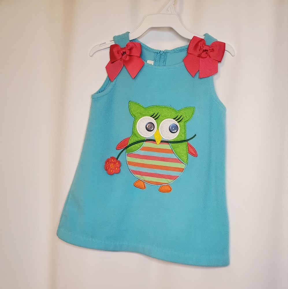 Cute Owl Bonnie Jean jamper 2T